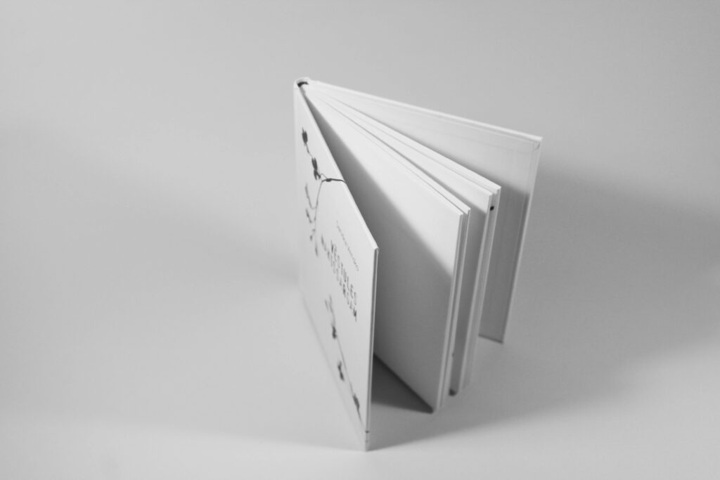 A minimalist open book with white pages, perfect for artistic and minimalist designs.